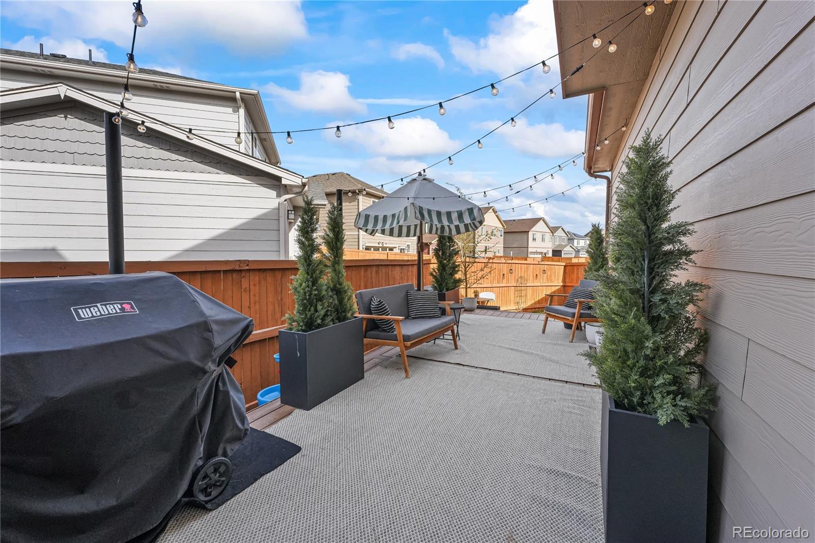 MLS Image #26 for 11675  park south lane,parker, Colorado