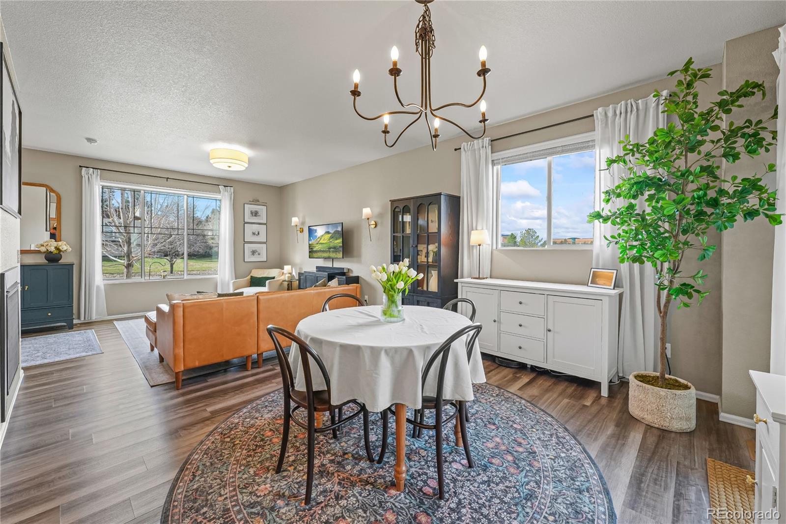 MLS Image #6 for 11675  park south lane,parker, Colorado