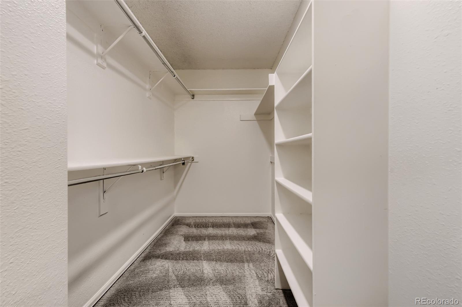 MLS Image #13 for 4551 n blazingstar trail,castle rock, Colorado