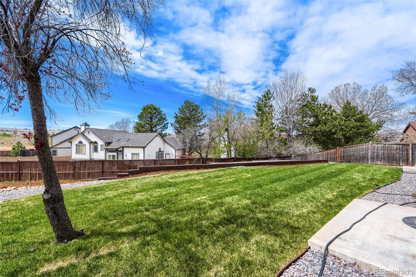 MLS Image #23 for 4551 n blazingstar trail,castle rock, Colorado