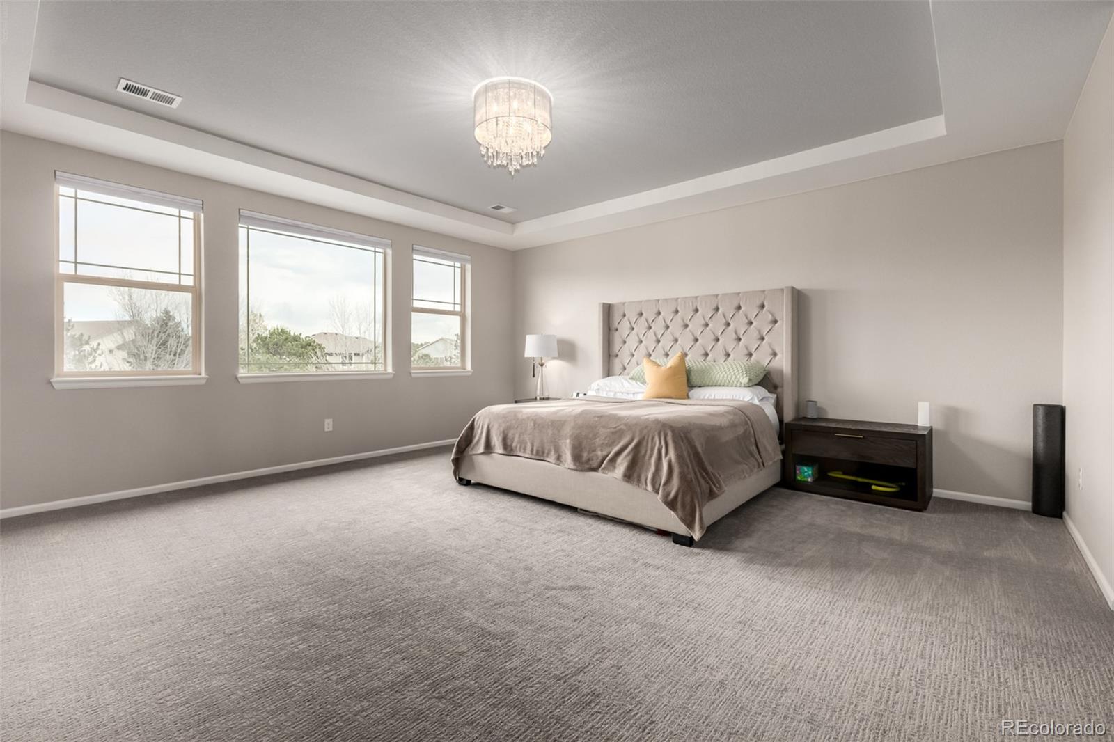 MLS Image #25 for 20165 e fair lane,centennial, Colorado