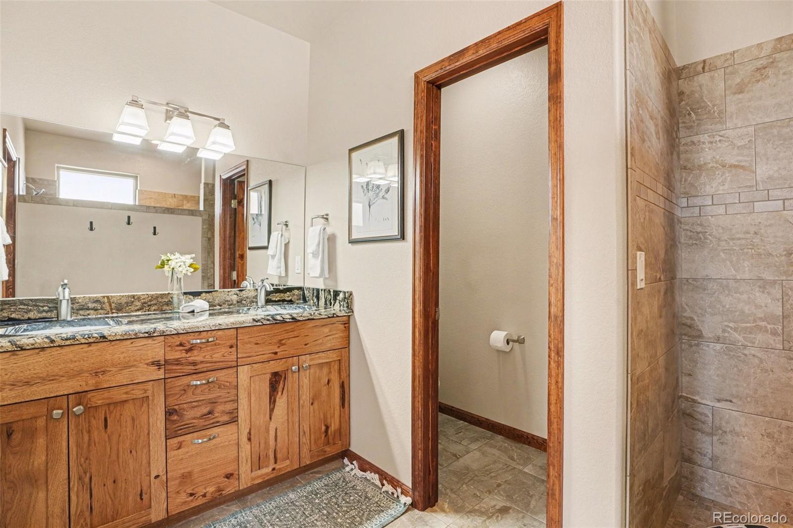 MLS Image #17 for 1149  ptarmigan drive,woodland park, Colorado