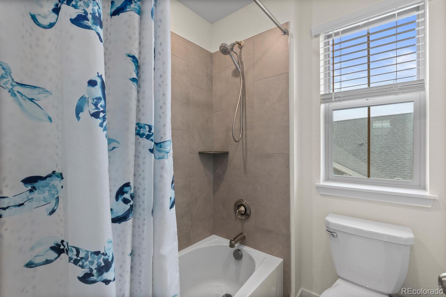 MLS Image #32 for 9317  eagle river street,littleton, Colorado