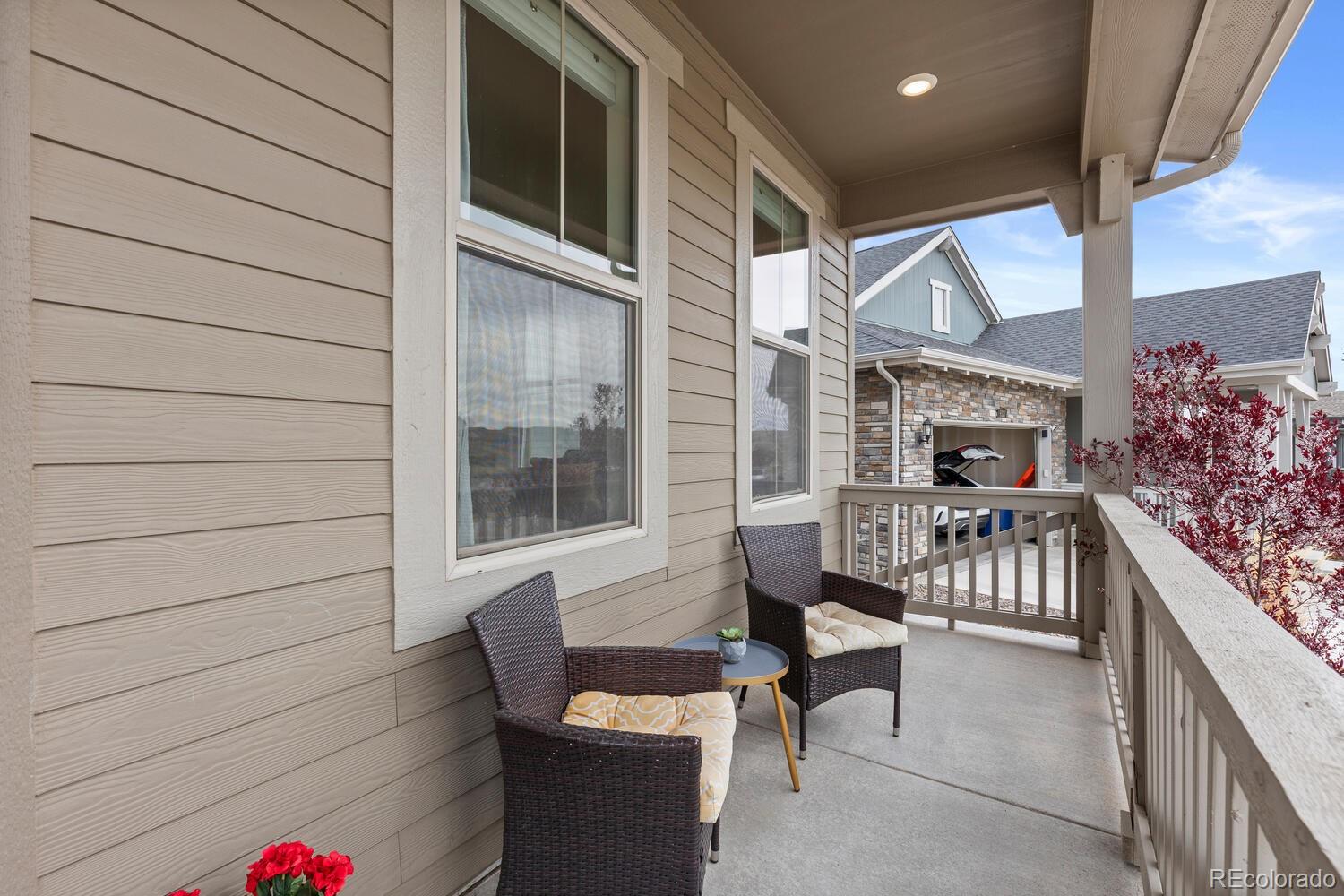 MLS Image #4 for 9317  eagle river street,littleton, Colorado