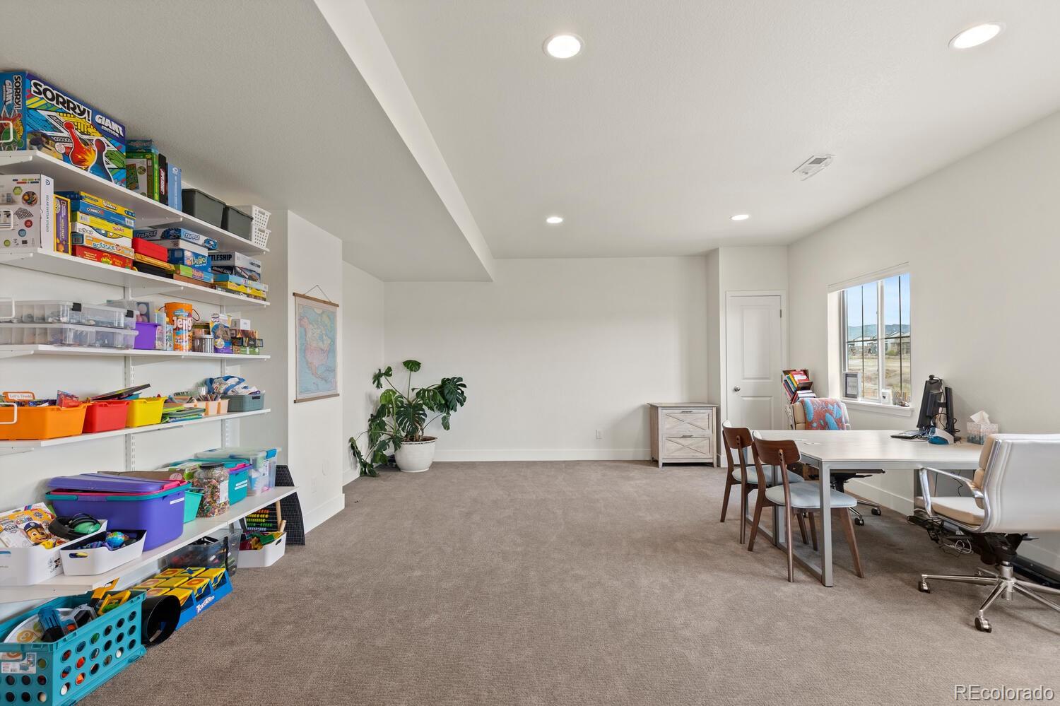 MLS Image #41 for 9317  eagle river street,littleton, Colorado