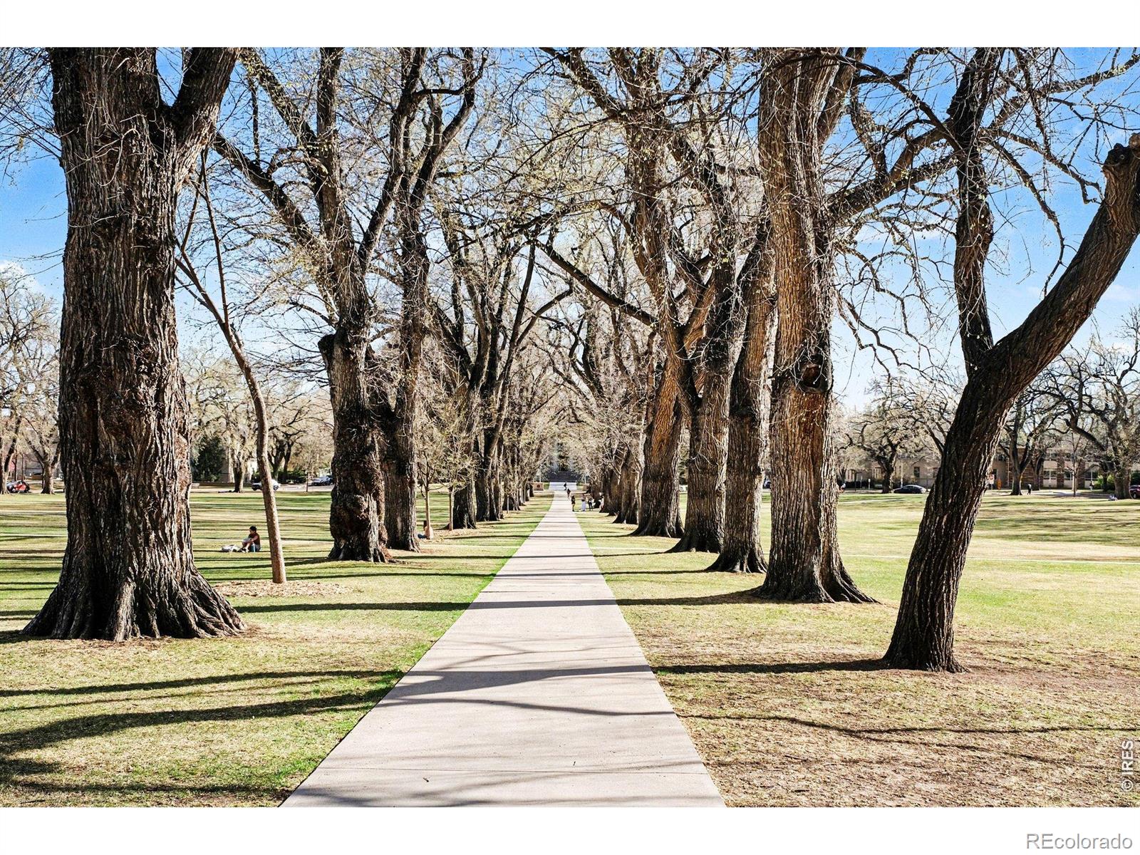 MLS Image #5 for 415 s howes street,fort collins, Colorado