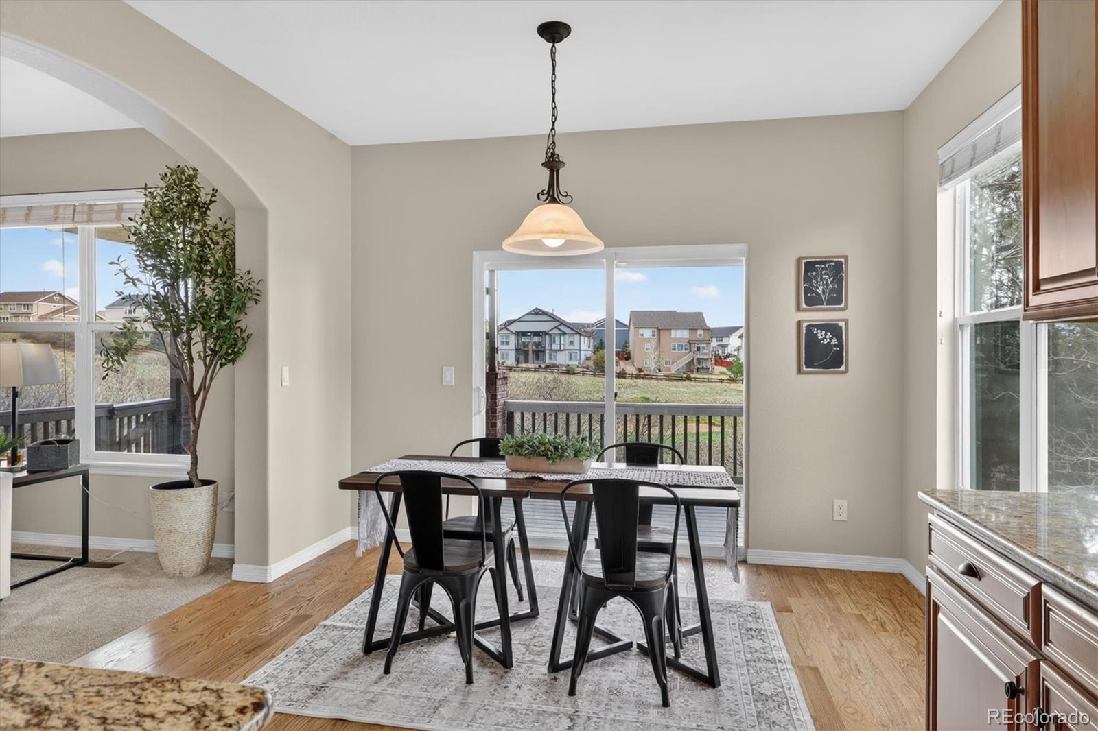 MLS Image #16 for 2565  red hawk ridge drive,castle rock, Colorado
