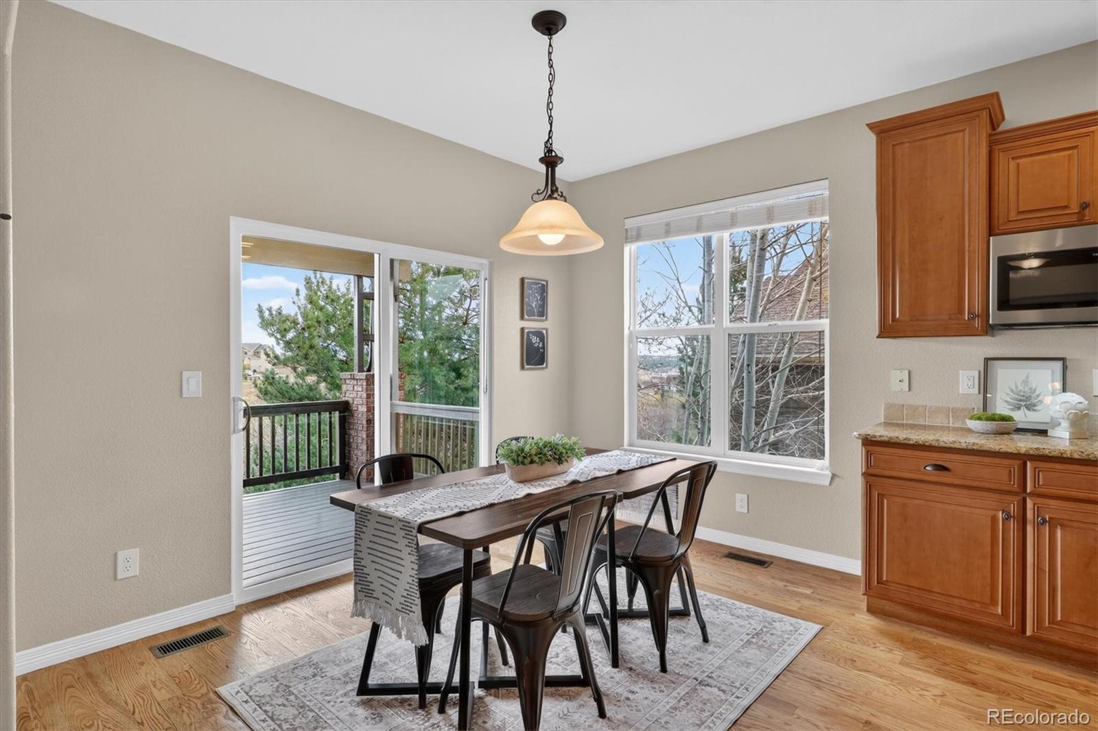 MLS Image #17 for 2565  red hawk ridge drive,castle rock, Colorado