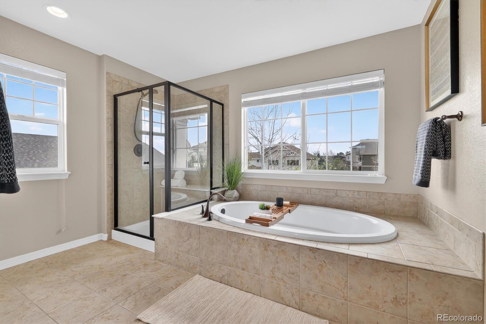 MLS Image #25 for 2565  red hawk ridge drive,castle rock, Colorado