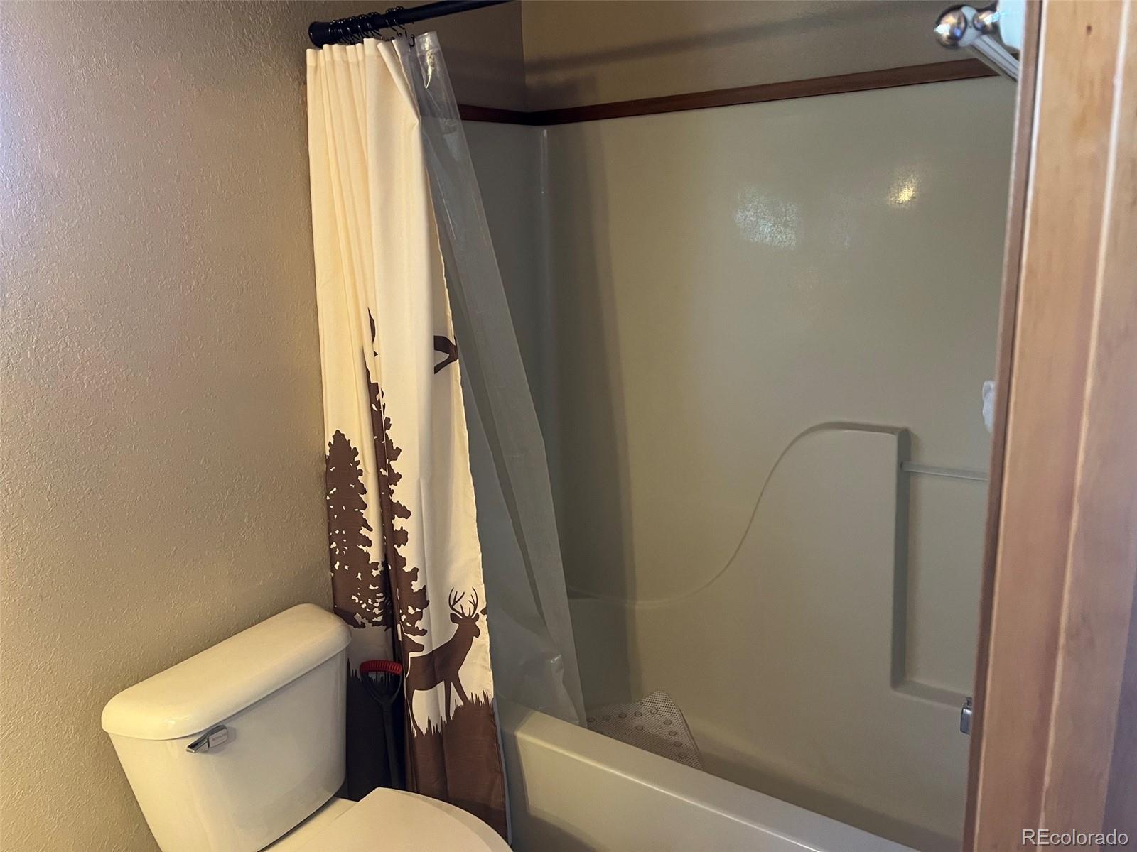 MLS Image #19 for 3140  schierl road,fort garland, Colorado
