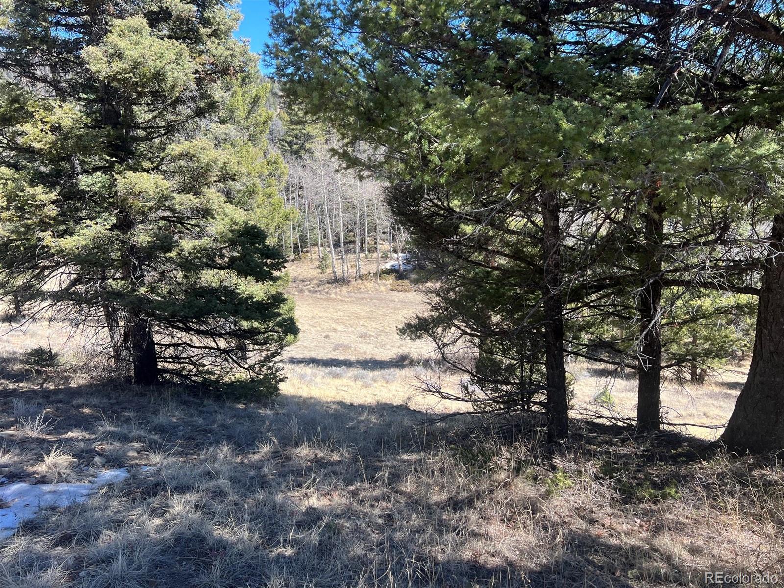 MLS Image #41 for 3140  schierl road,fort garland, Colorado