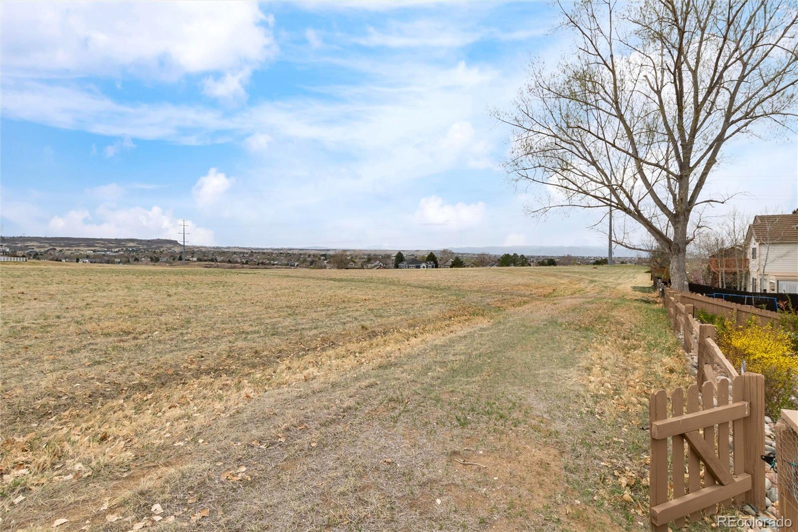 MLS Image #42 for 7402  powderhorn drive,lone tree, Colorado