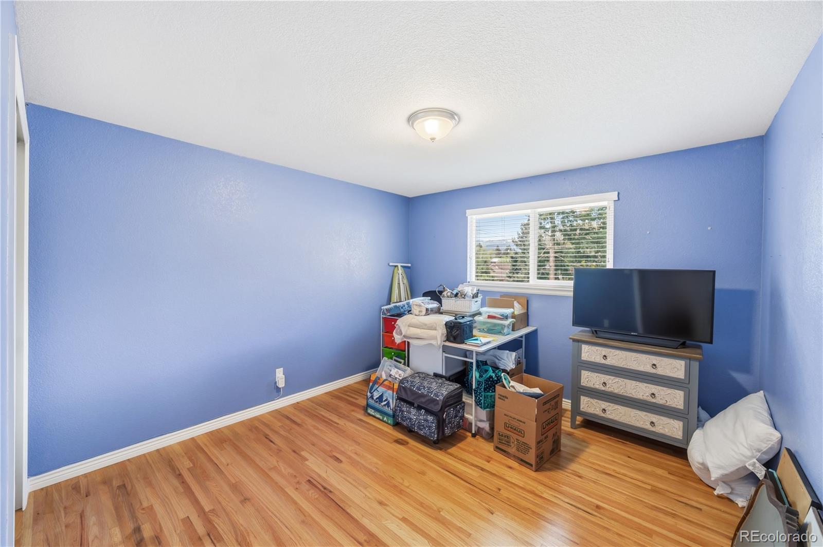MLS Image #15 for 2122  sussex lane,colorado springs, Colorado