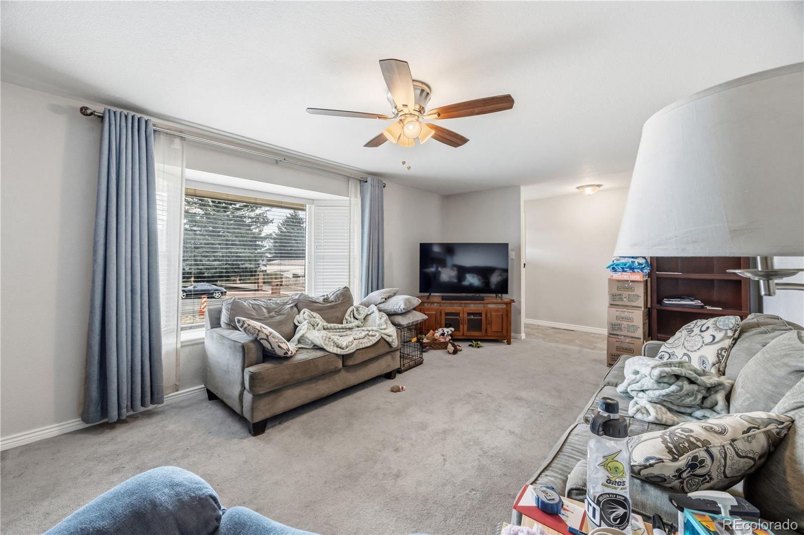MLS Image #3 for 2122  sussex lane,colorado springs, Colorado