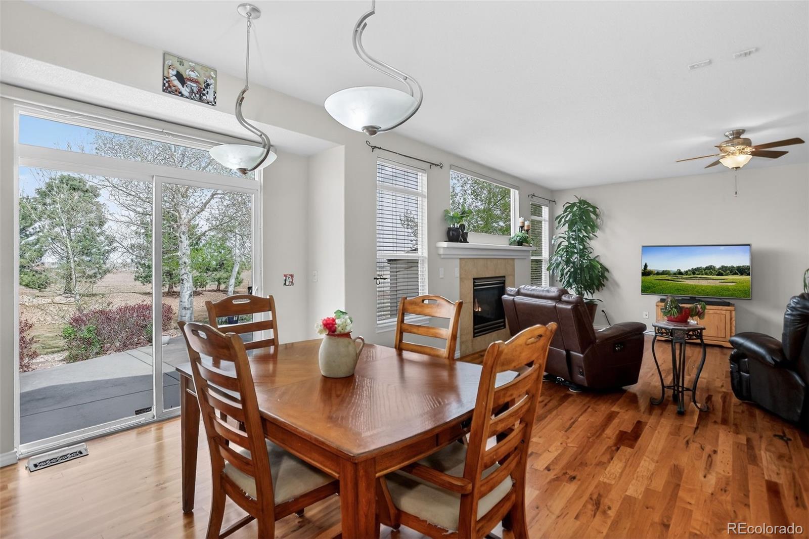 MLS Image #14 for 8559 e 163rd court,brighton, Colorado