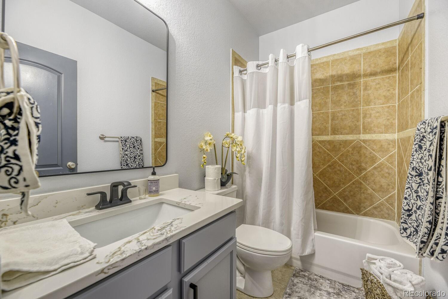 MLS Image #17 for 10638  clarkeville way,parker, Colorado