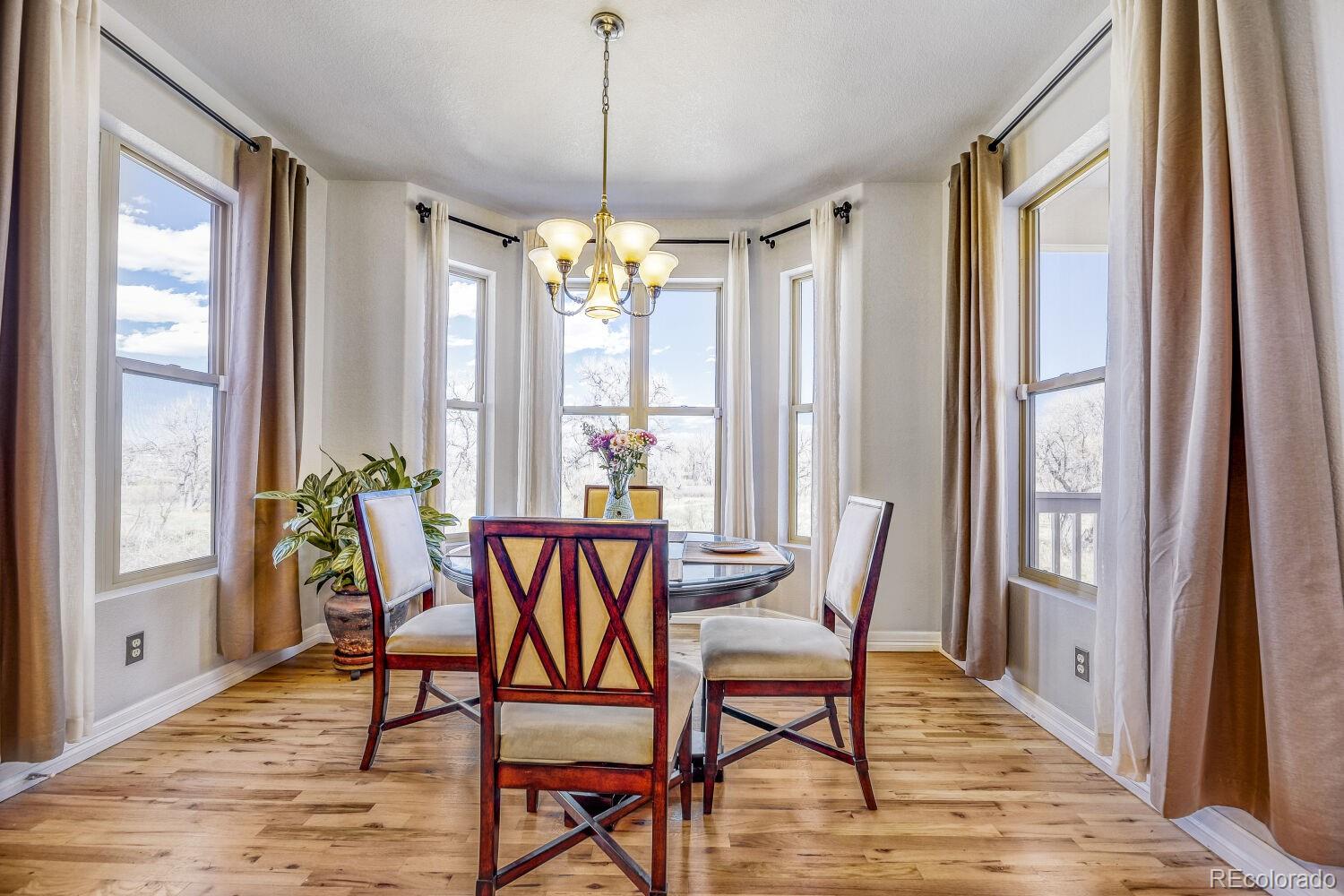 MLS Image #9 for 10638  clarkeville way,parker, Colorado