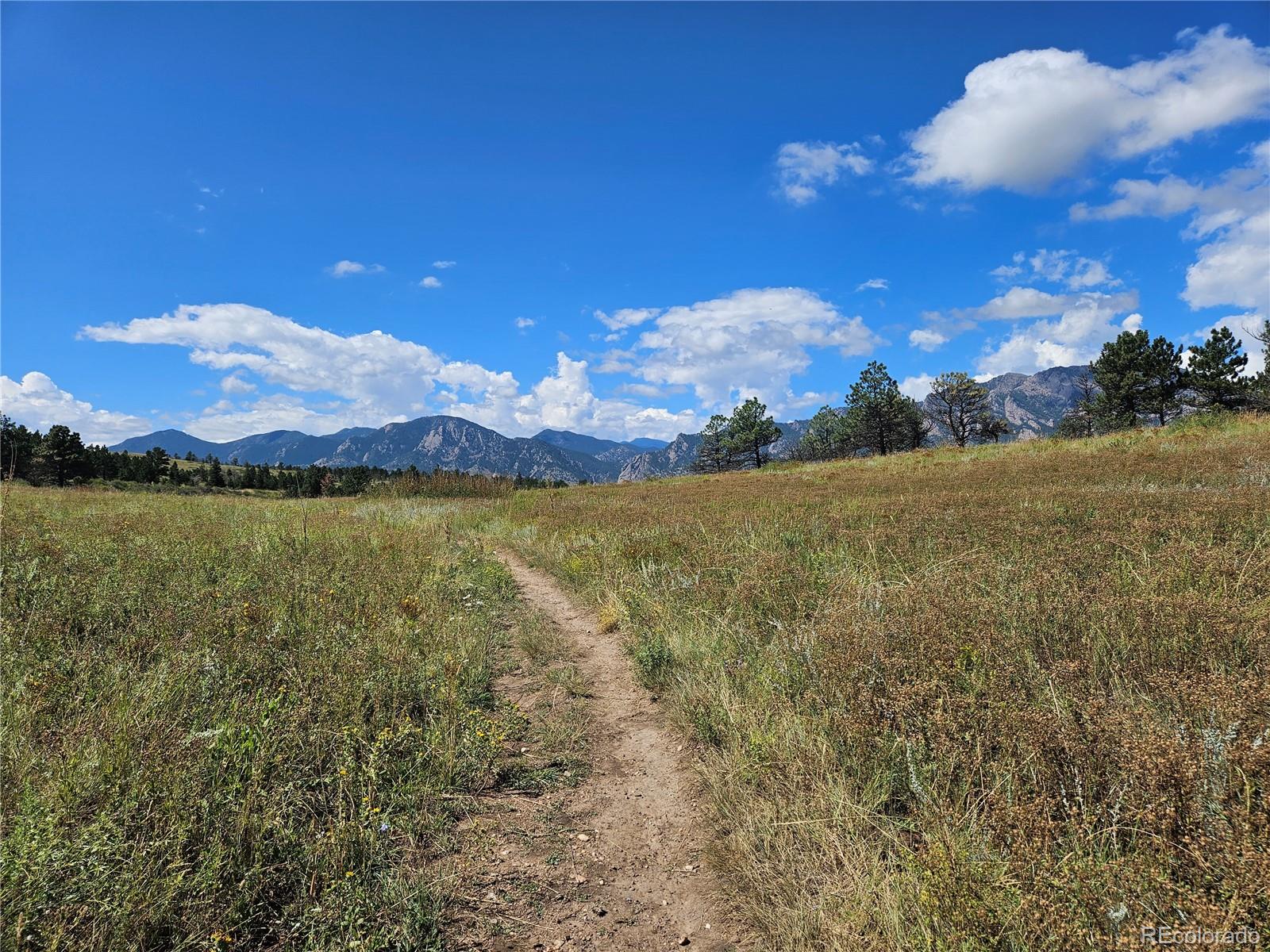 MLS Image #42 for 443  blackfoot street,superior, Colorado