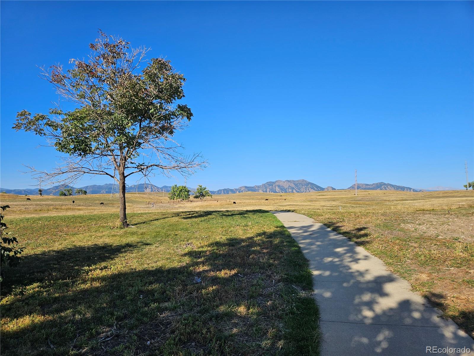 MLS Image #44 for 443  blackfoot street,superior, Colorado