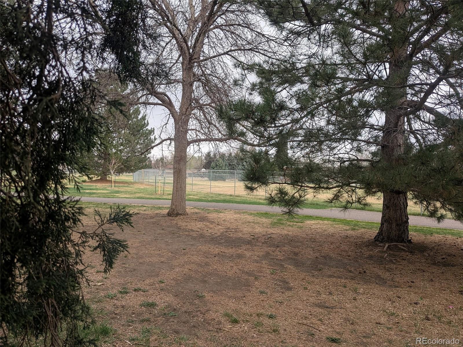 MLS Image #17 for 8225 w 19th avenue,lakewood, Colorado
