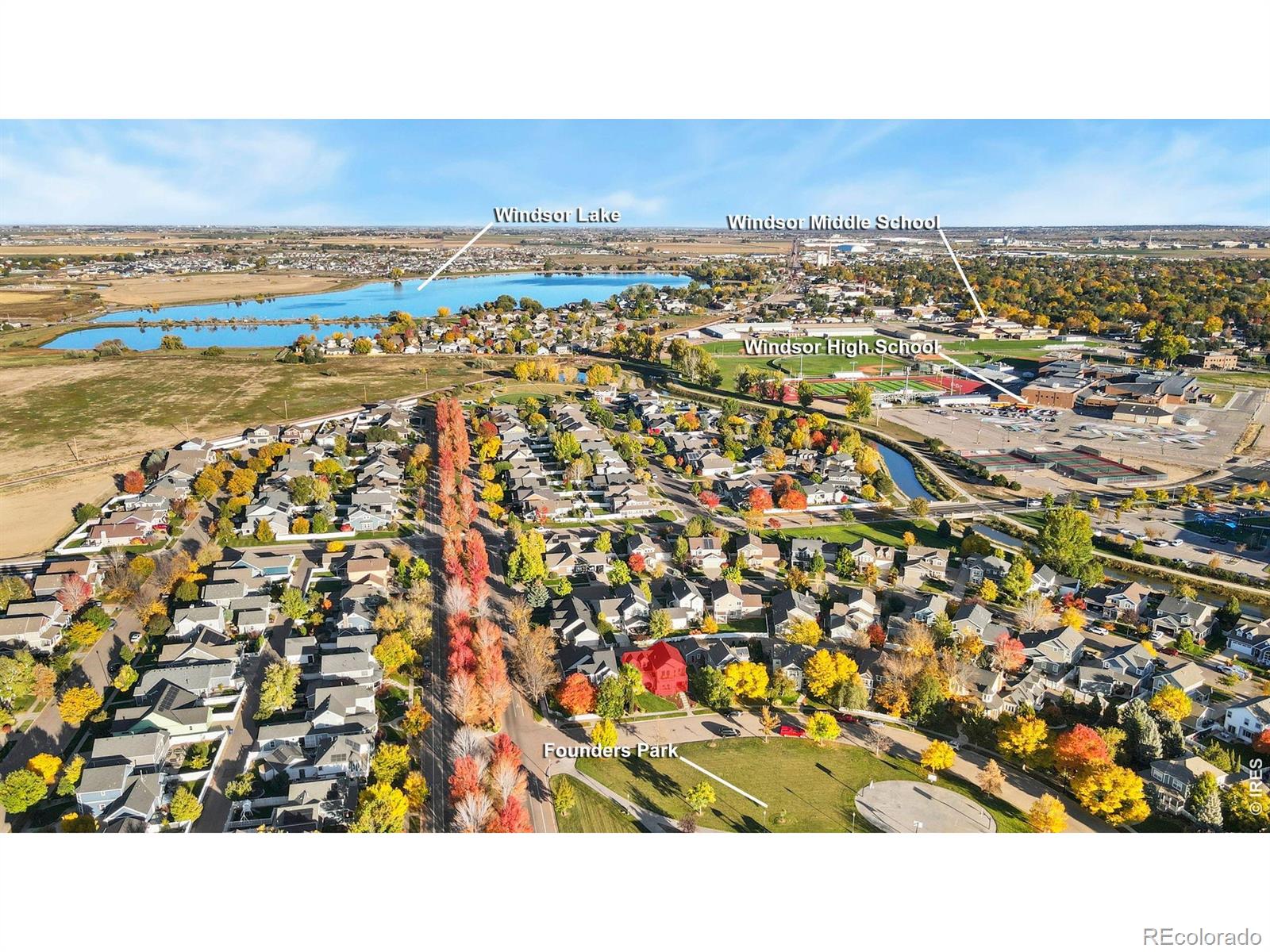 MLS Image #2 for 1119  founders circle,windsor, Colorado