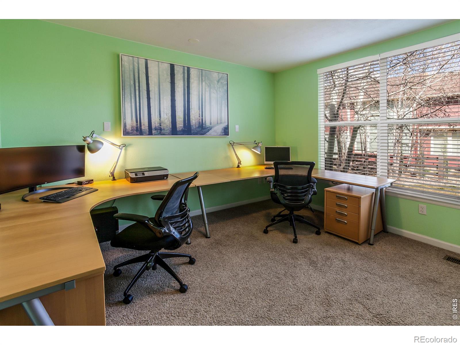 MLS Image #17 for 3708  full moon drive,fort collins, Colorado