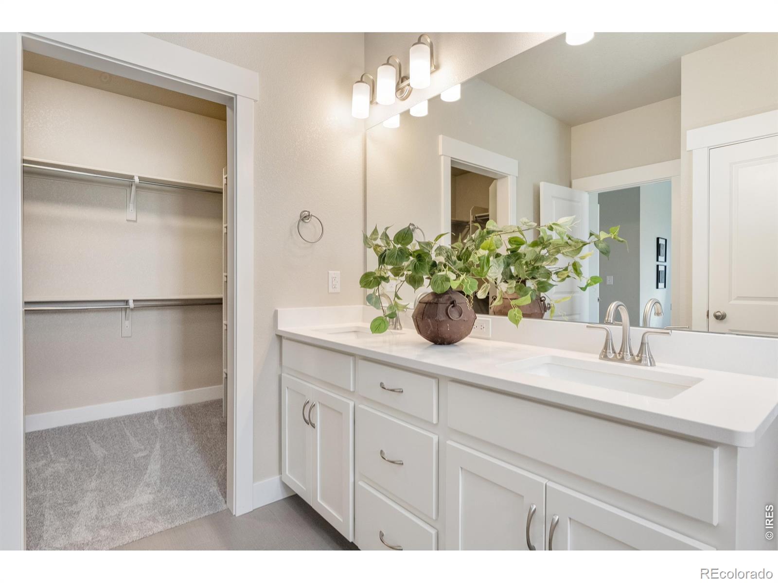 MLS Image #14 for 6228  vernazza way,windsor, Colorado