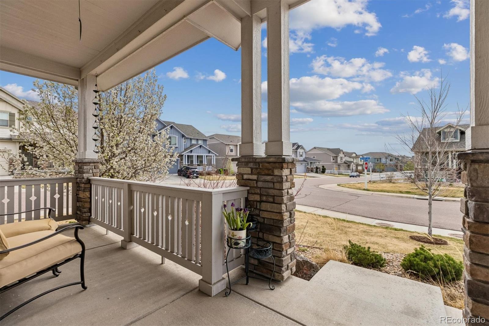 MLS Image #3 for 20195 e fair lane,centennial, Colorado