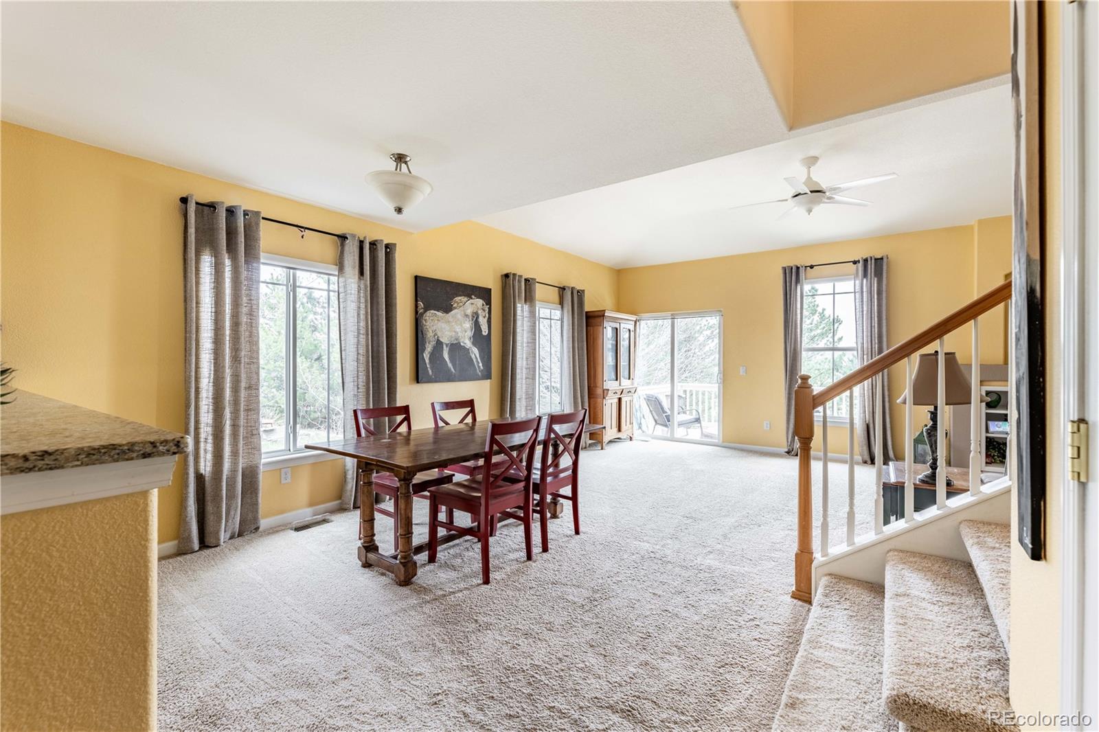 MLS Image #10 for 3320  willowrun drive,castle rock, Colorado
