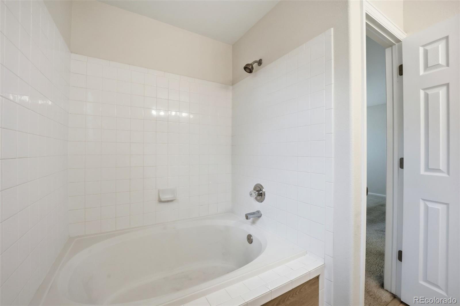 MLS Image #12 for 1282  parsons avenue,castle rock, Colorado