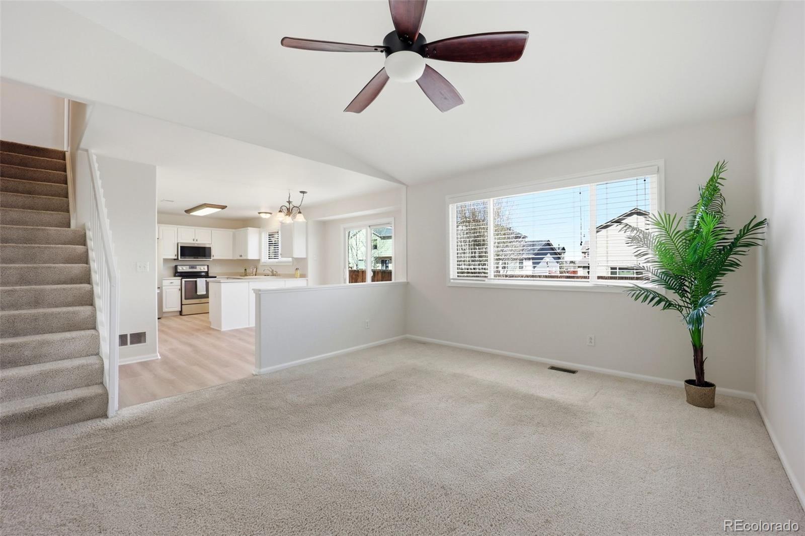 MLS Image #4 for 1282  parsons avenue,castle rock, Colorado