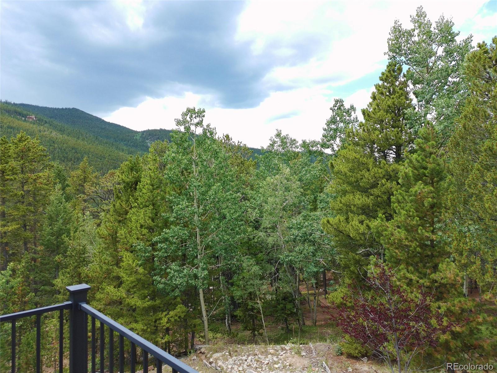 MLS Image #42 for 260  pine drive,idaho springs, Colorado