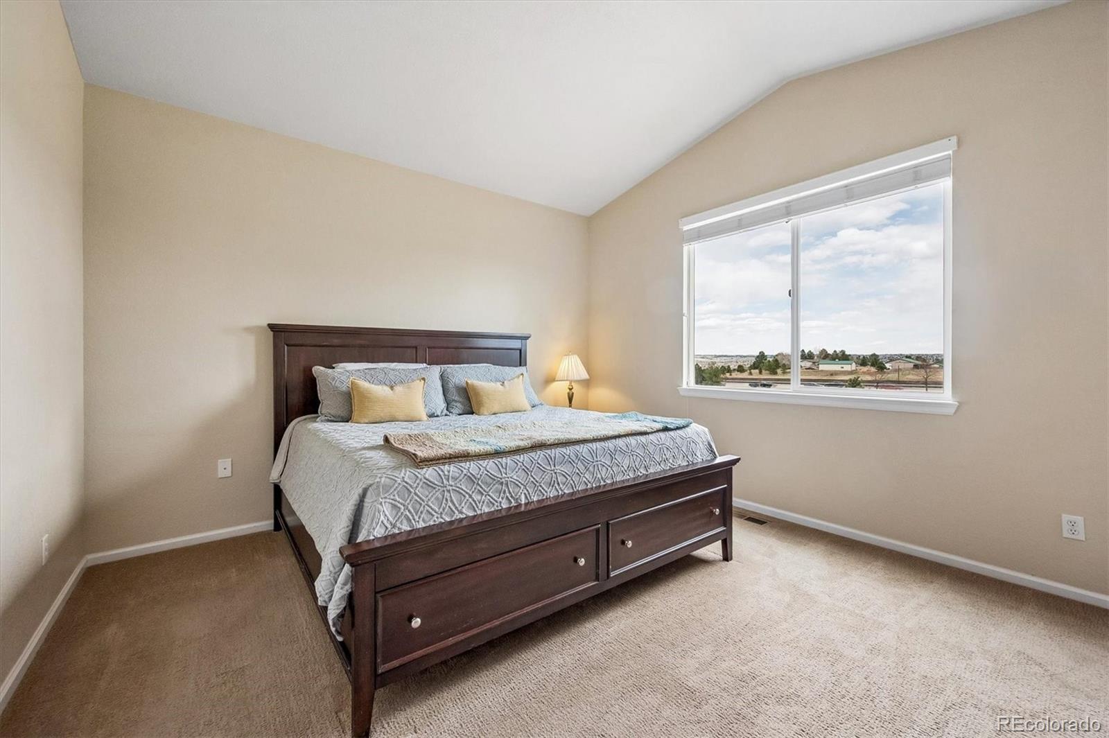 MLS Image #15 for 16754 e black horn drive,parker, Colorado