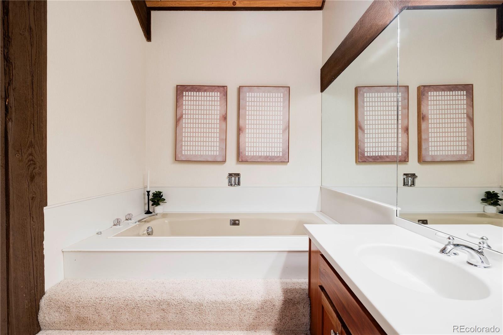 MLS Image #23 for 24196  currant drive ,golden, Colorado