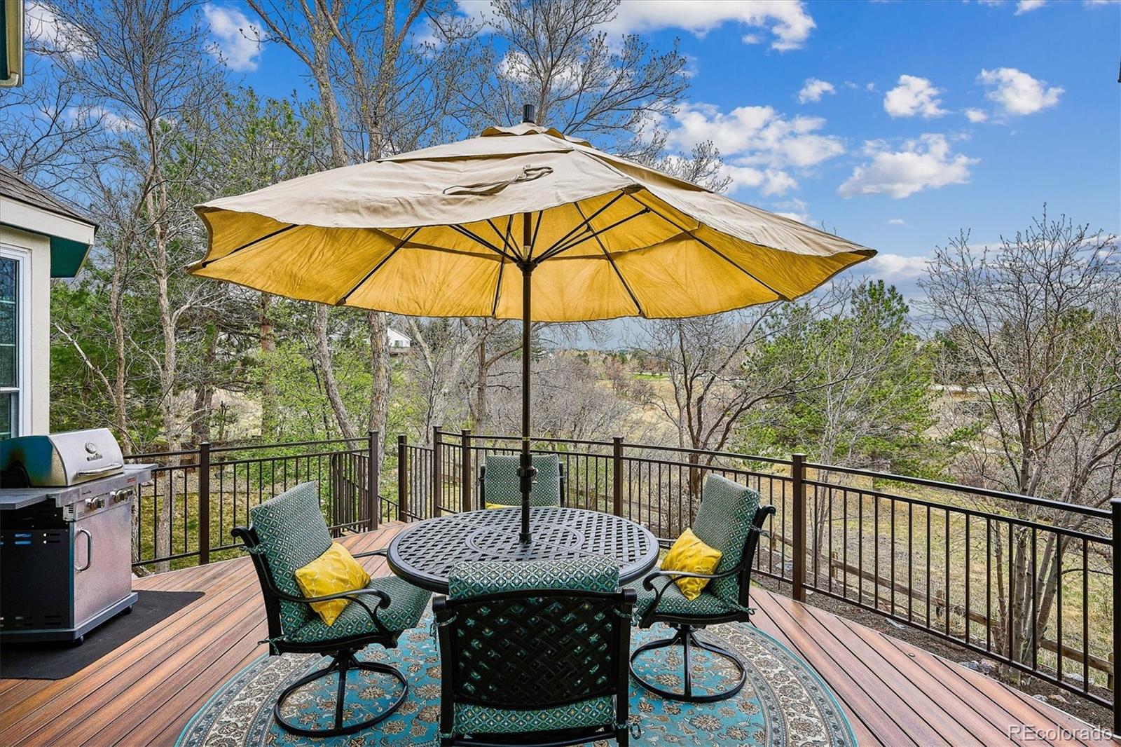 MLS Image #22 for 7277  brighton court,castle pines, Colorado