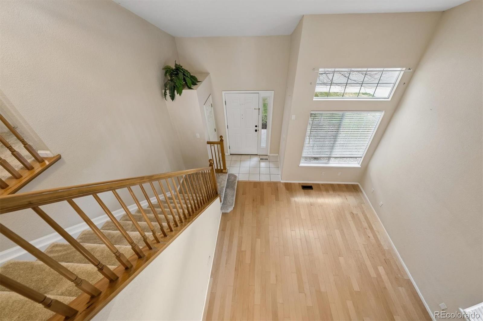 MLS Image #16 for 557  stellars jay drive,highlands ranch, Colorado