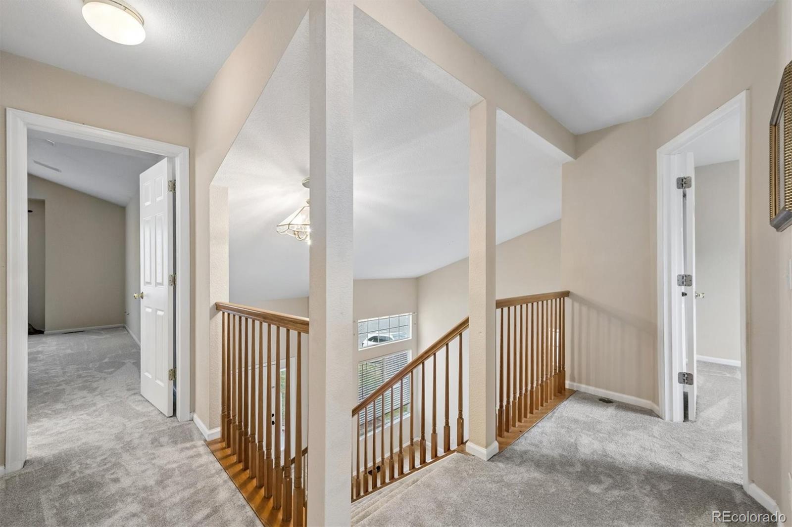 MLS Image #17 for 557  stellars jay drive,highlands ranch, Colorado