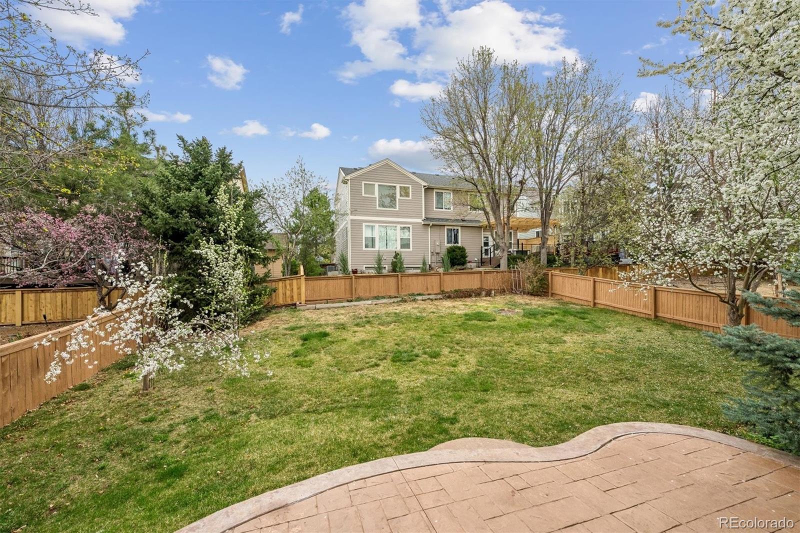 MLS Image #28 for 557  stellars jay drive,highlands ranch, Colorado
