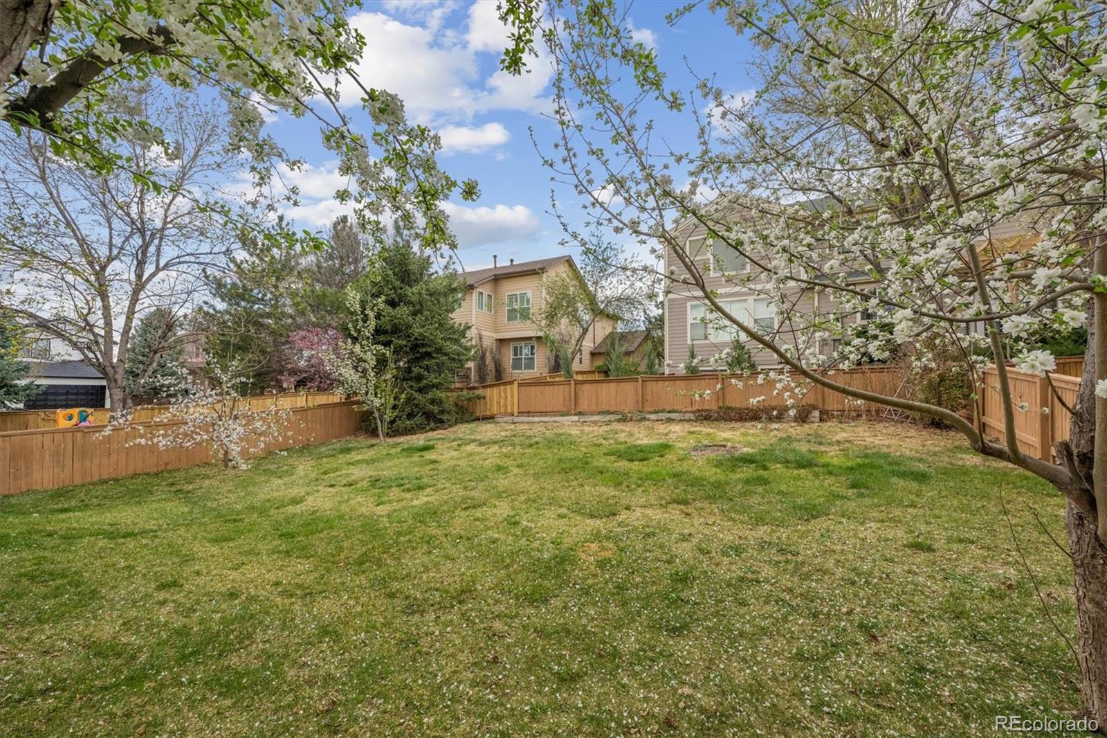 MLS Image #30 for 557  stellars jay drive,highlands ranch, Colorado