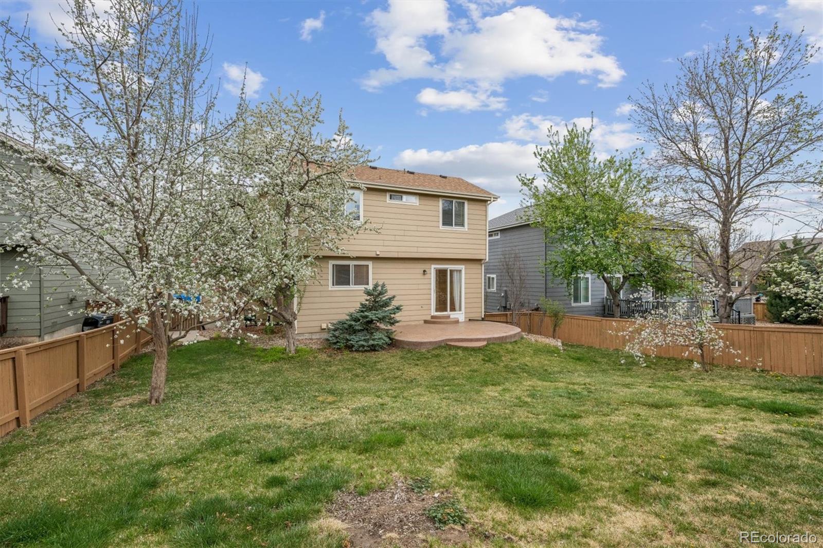 MLS Image #31 for 557  stellars jay drive,highlands ranch, Colorado