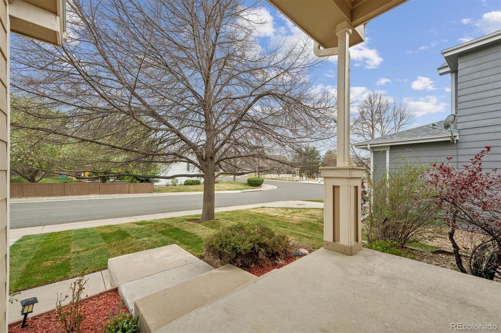 MLS Image #33 for 557  stellars jay drive,highlands ranch, Colorado