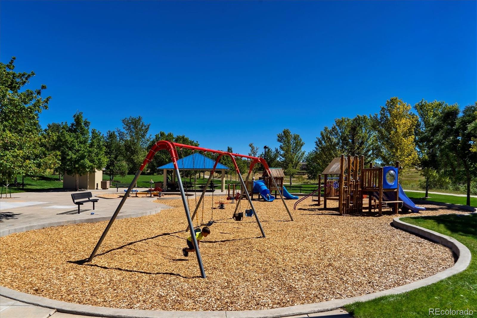 MLS Image #38 for 557  stellars jay drive,highlands ranch, Colorado