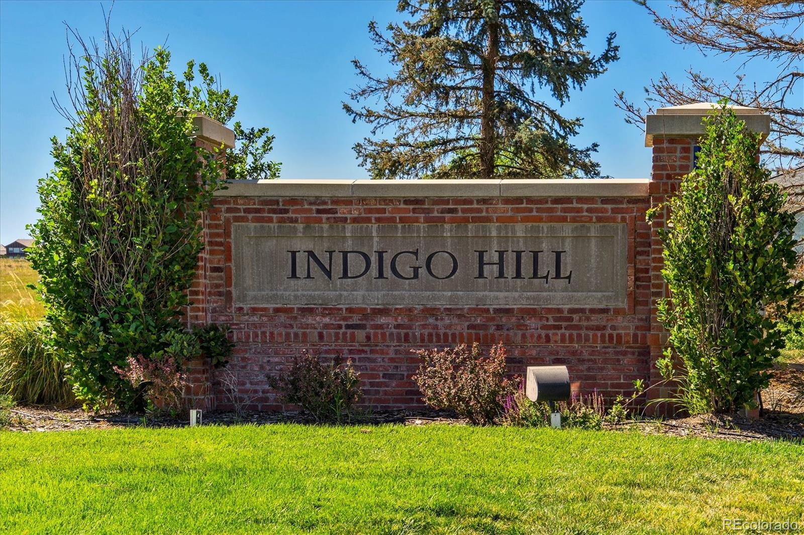 MLS Image #39 for 557  stellars jay drive,highlands ranch, Colorado