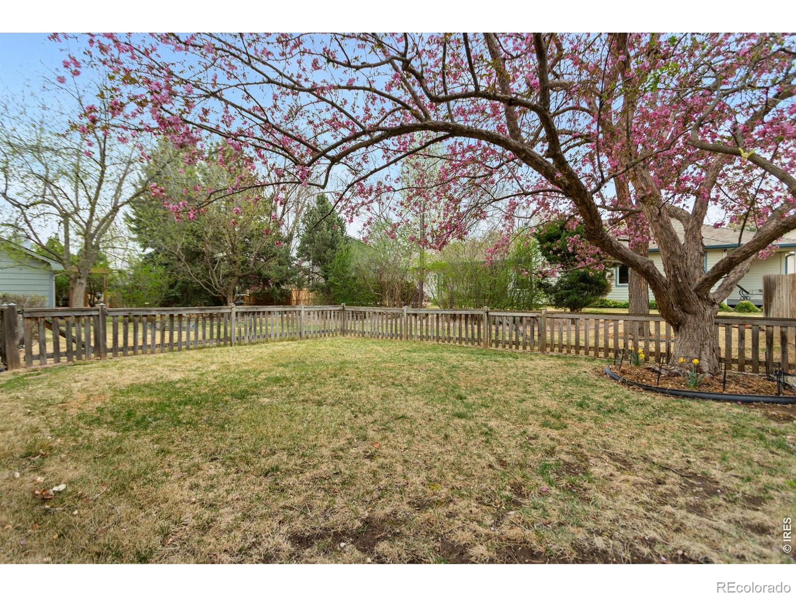 MLS Image #27 for 1707  centennial road,fort collins, Colorado