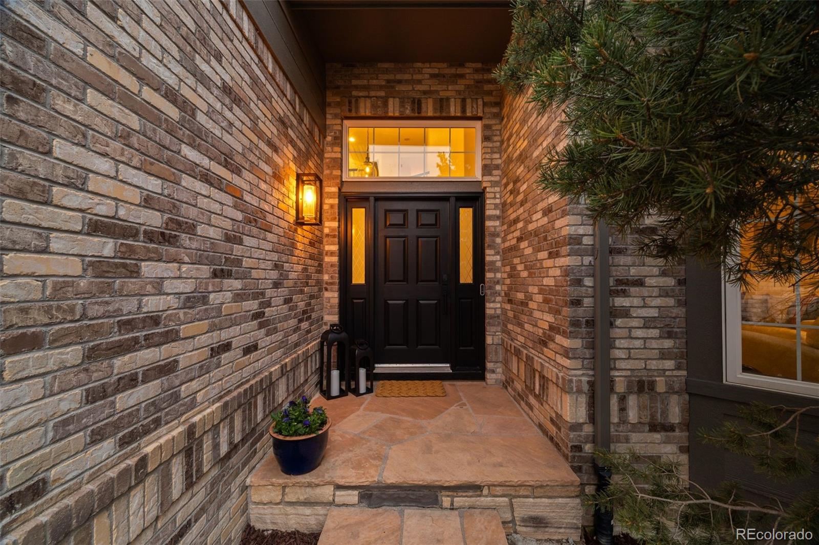 MLS Image #1 for 551  seth place,castle pines, Colorado