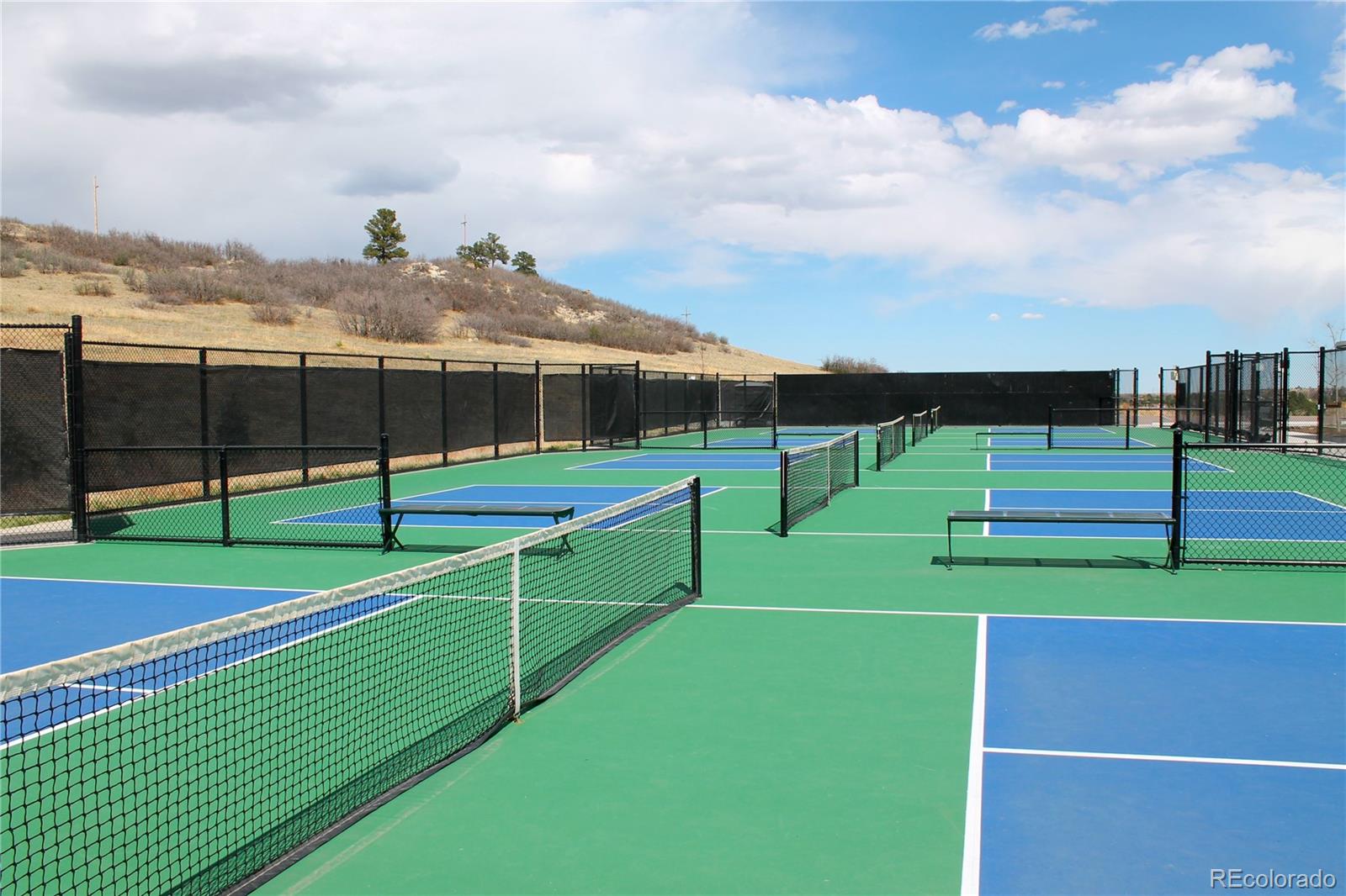 MLS Image #48 for 551  seth place,castle pines, Colorado