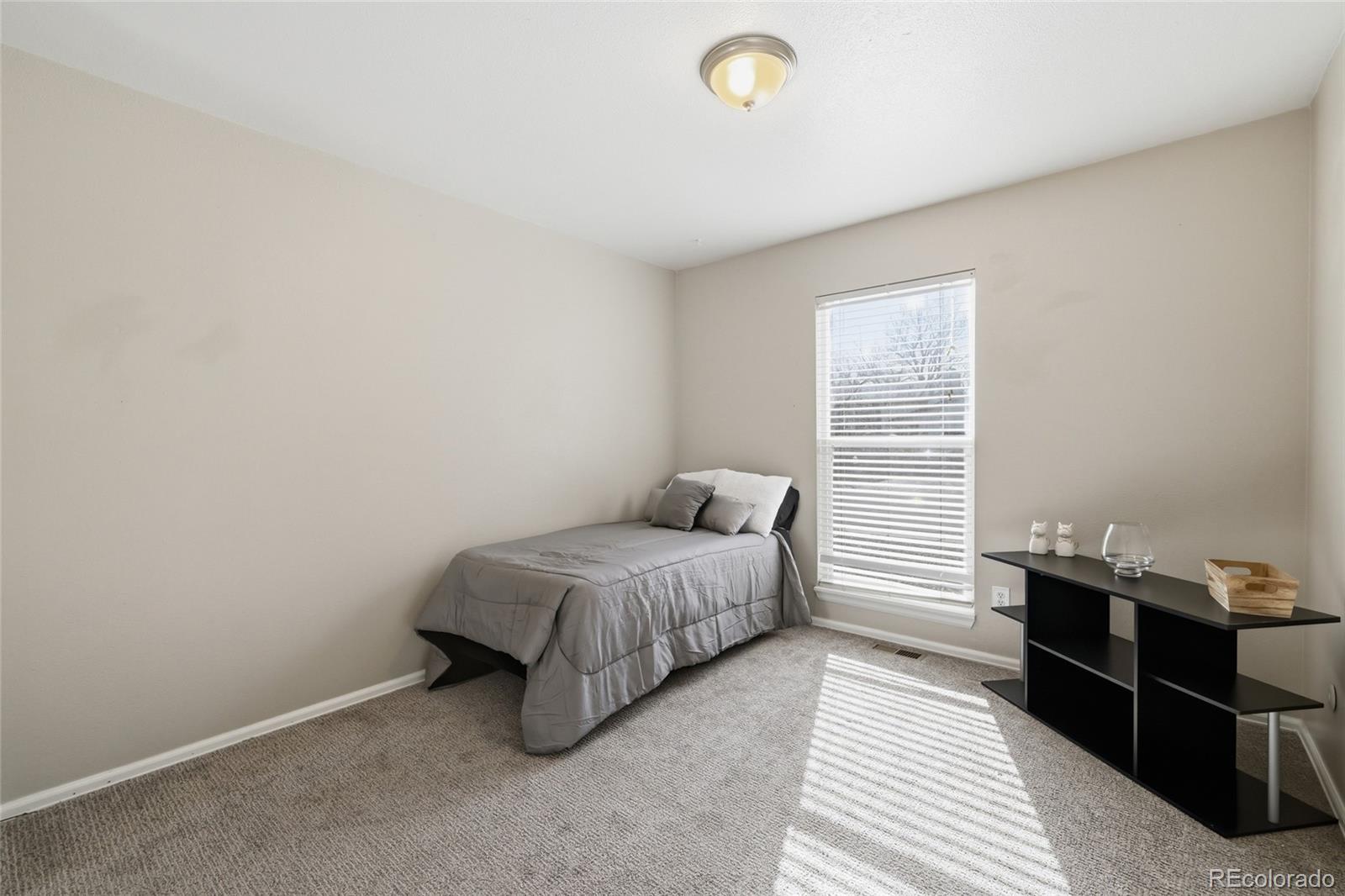 MLS Image #12 for 1346  dexter street,broomfield, Colorado