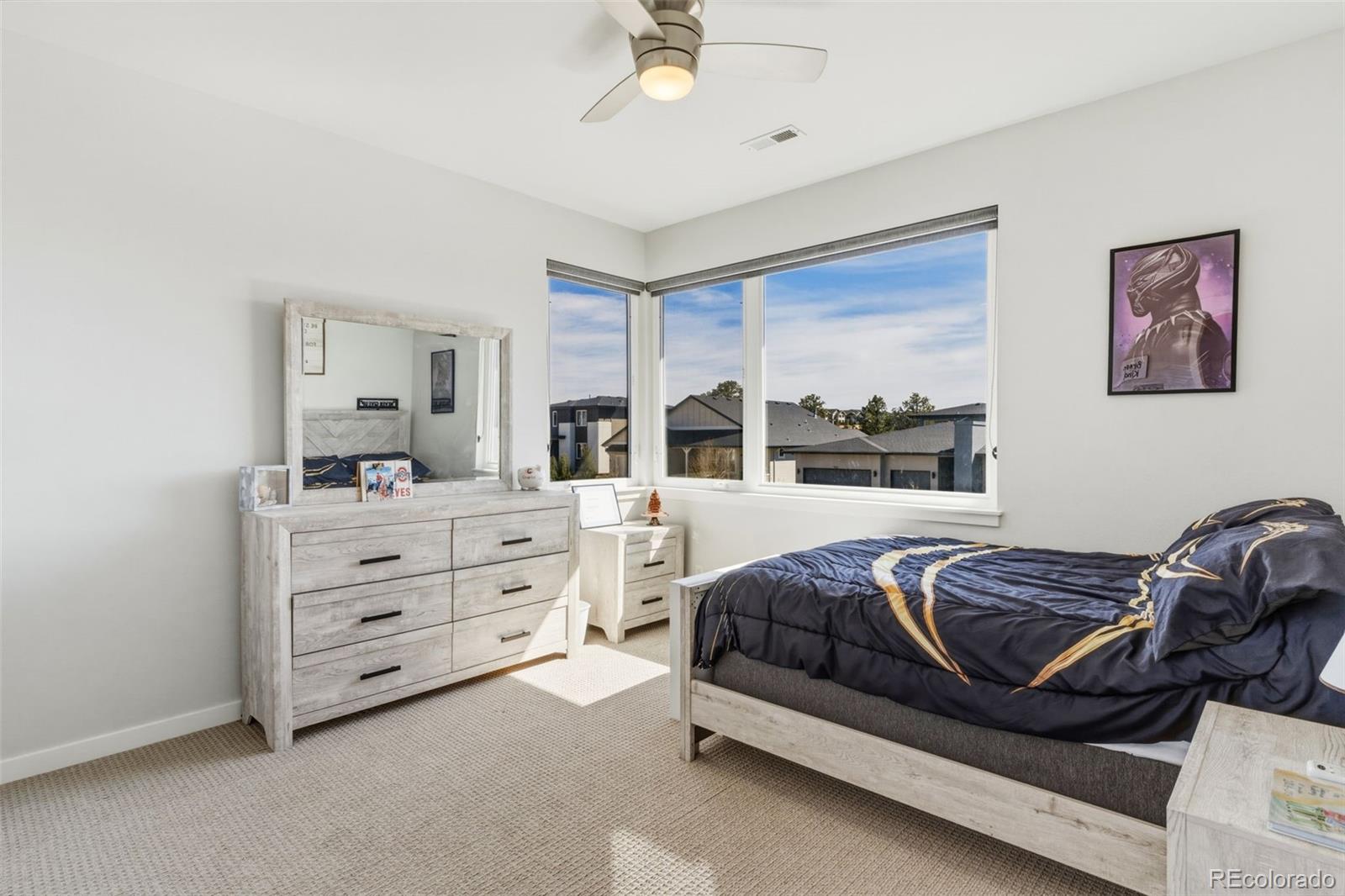 MLS Image #23 for 1238  foothills farm way,colorado springs, Colorado