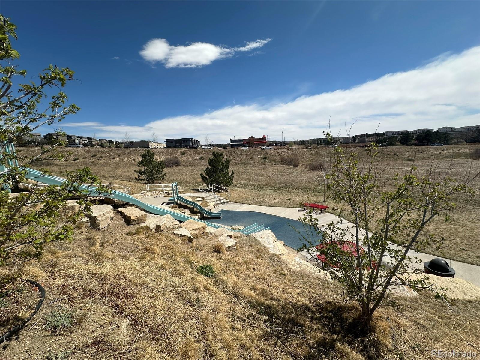 MLS Image #45 for 1238  foothills farm way,colorado springs, Colorado
