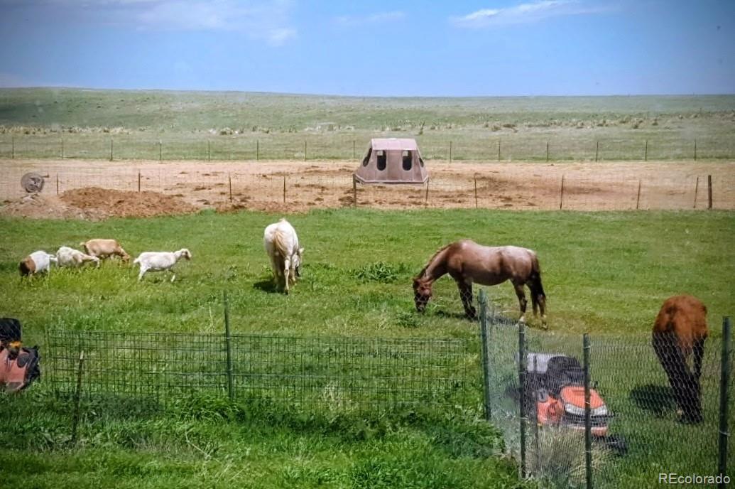 MLS Image #45 for 9151  sun country drive,elizabeth, Colorado